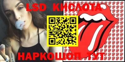 Альфа ПВП Кунгур