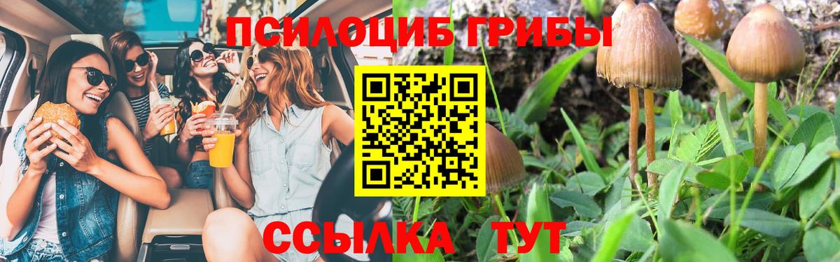 Галлюциногенные грибы Cubensis  Вход с VPN  Псилоцибиновые грибы Cubensis  Калач-на-Дону 